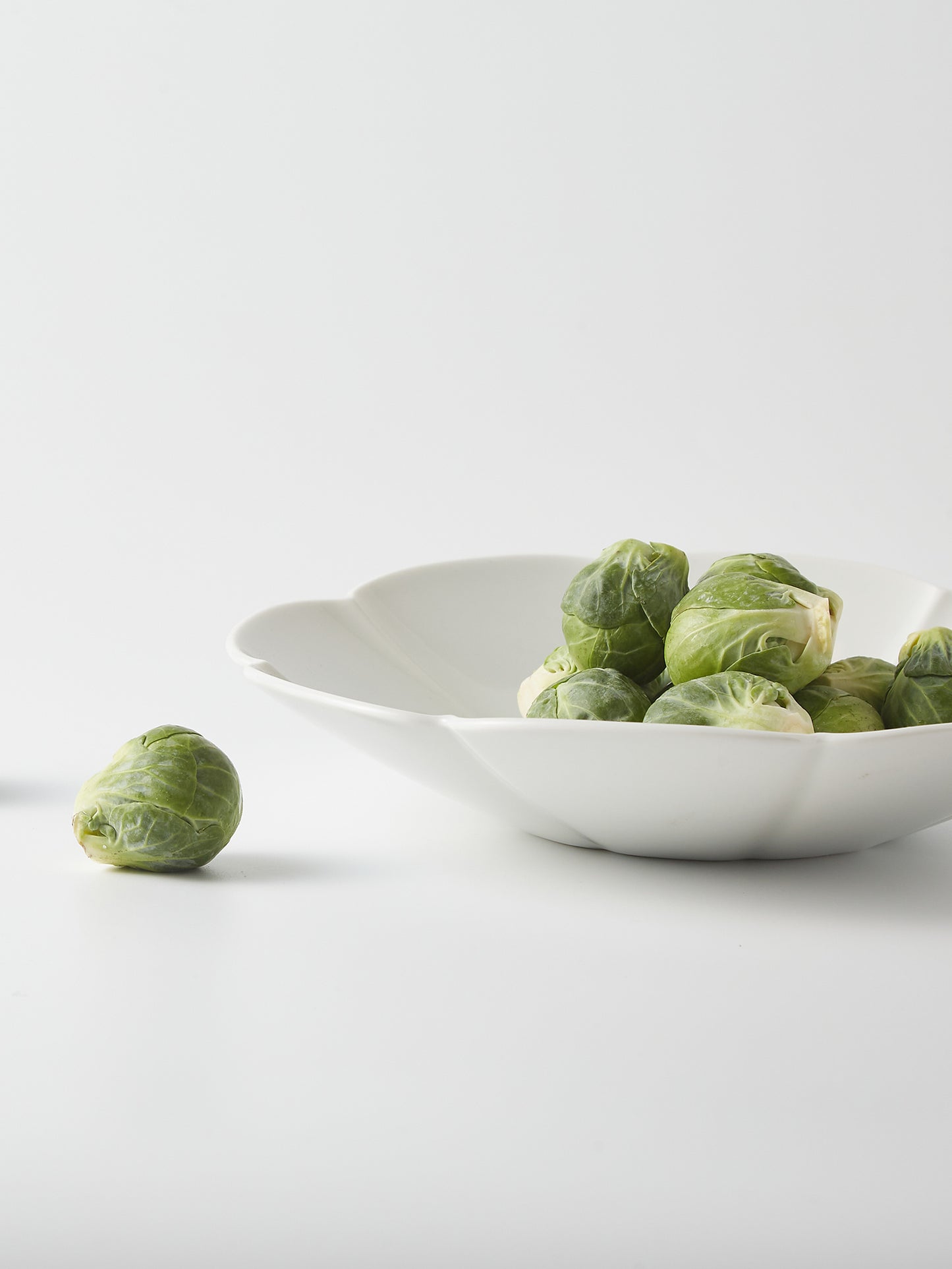 Mujagi Flower 08 Main Plate | 23cm