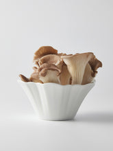 Load image into Gallery viewer, Mushroom in a flower bowl
